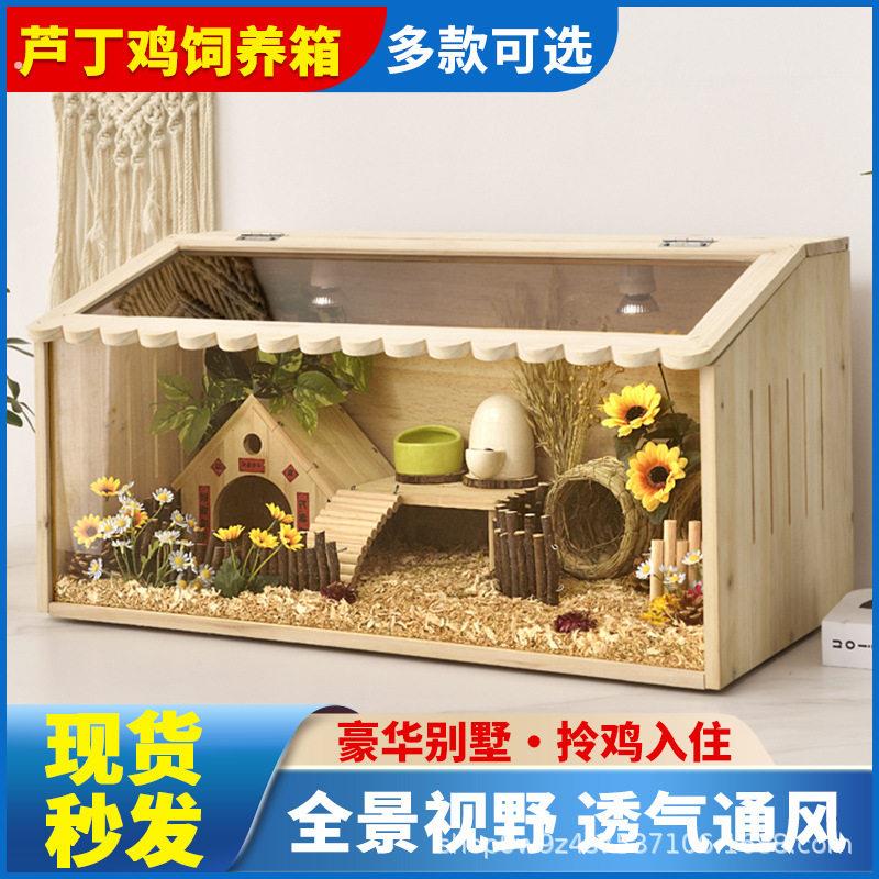 芦丁鸡饲养箱箱幼鸡鹌鹑保温箱小鸡笼子全套卢丁鸡恒温专用窝育雏