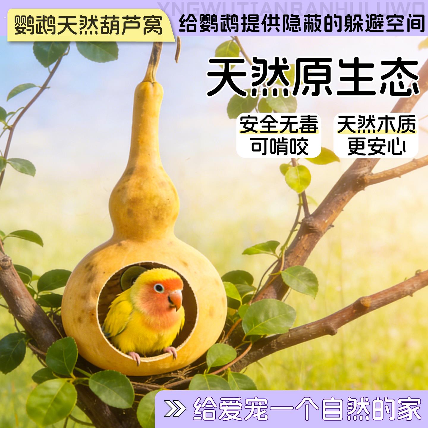 鹦鹉葫芦鸟窝虎皮玄凤牡丹小太阳春夏专用睡觉躲避玩耍窝