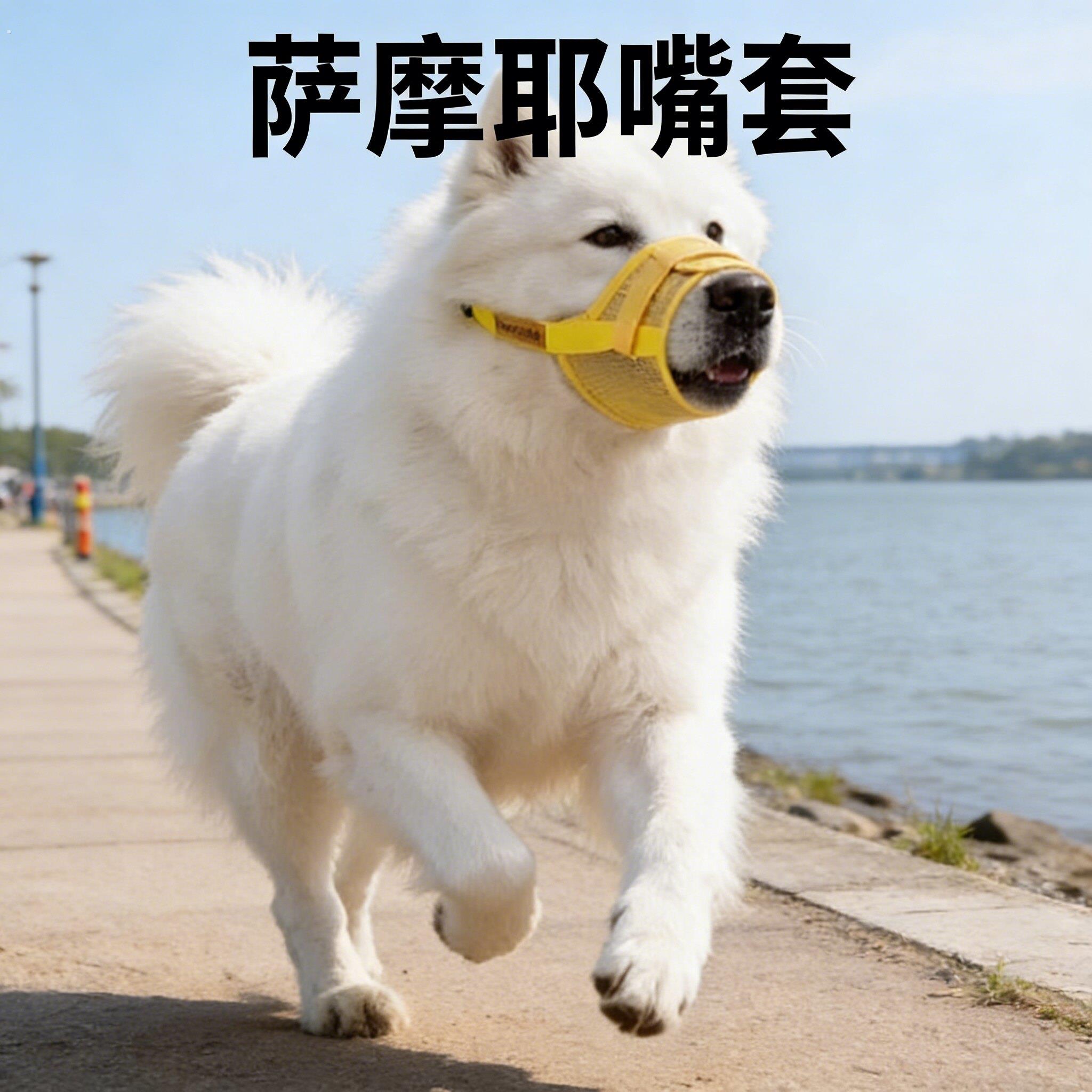 萨摩耶嘴套狗狗专用网纱透气防叫防乱吃扒不掉防咬人中大型犬宠物