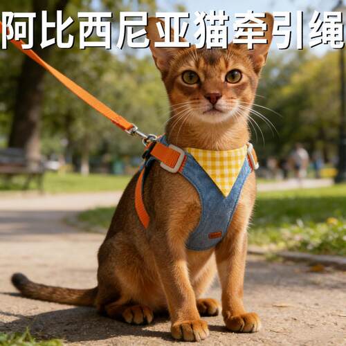 阿比西尼亚猫牵引绳防挣脱外出专用可调节背心胸背小猫咪出门绳子