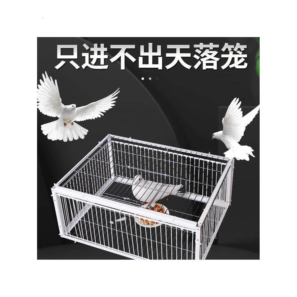 天落笼捕捉神器祇进不出鸟室外鸽子笼加厚加密全自动收活络撞门