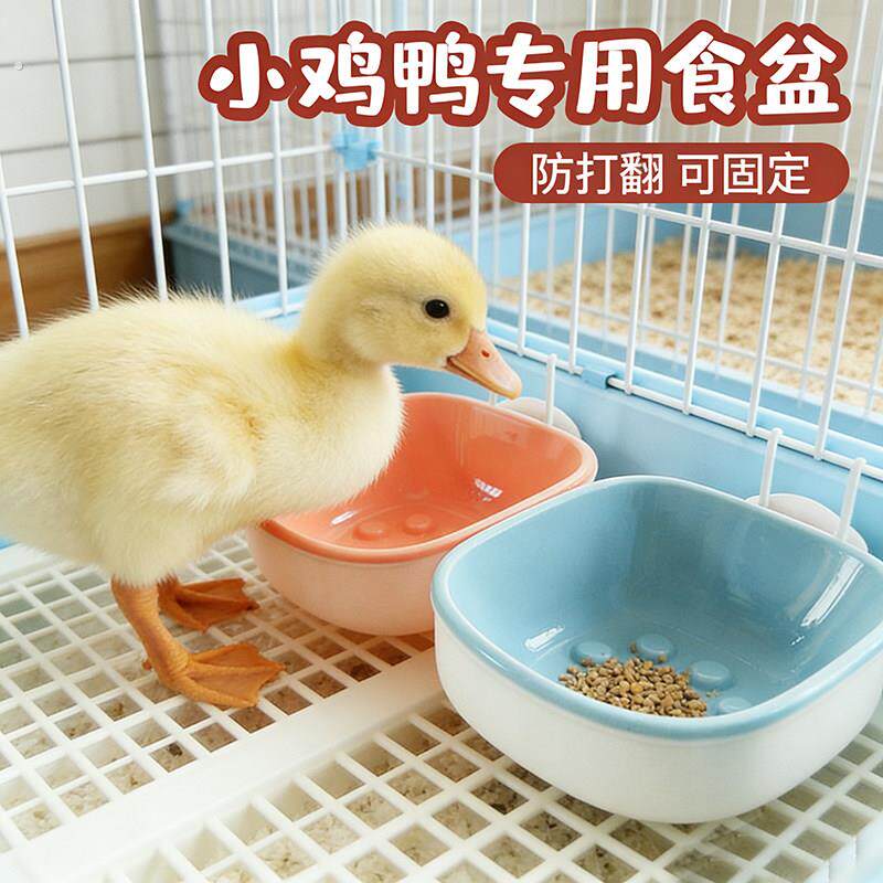 小鸭子专用食盆悬挂式防打翻宠物柯尔鸭芦丁鸡的喂食盒水碗饲料槽