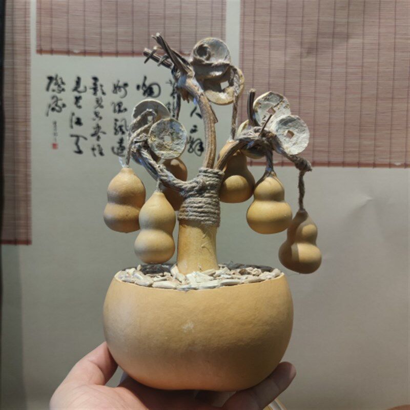 天然葫芦摆件金钱树盆栽创意礼品玄关客厅家居乔迁新居个性文创