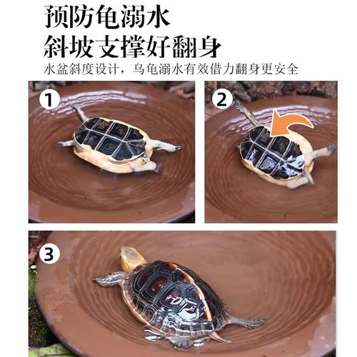 乌龟泡澡盆黄缘半水龟专用紫砂陶瓷水盆分体带底托水池饲养箱用品