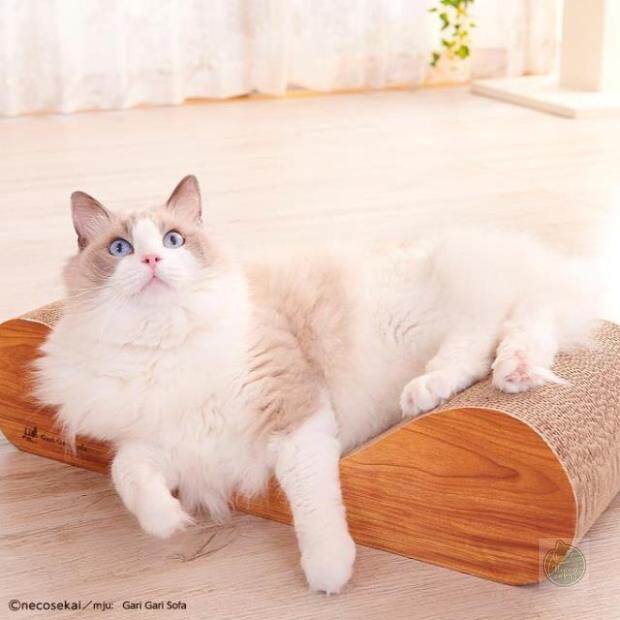 猫咪世界耐磨瓦楞纸猫抓板不易掉屑猫玩具猫枕头猫床沙发形贵妃榻