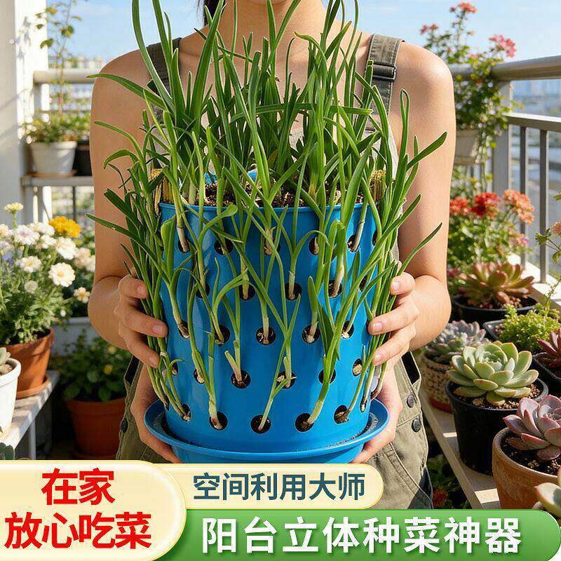 简约种葱种蒜神器大容量塑料镂空篓无盖种吃不完种韭菜种香菜筐子