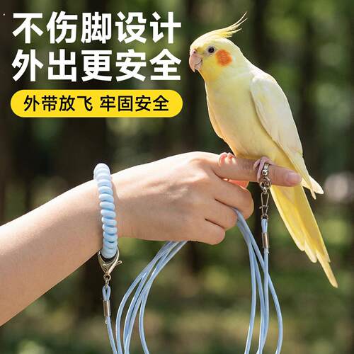 玄凤鹦鹉牵引绳外出超轻不伤脚脚环弹力放飞绳遛鸟神器户外专用