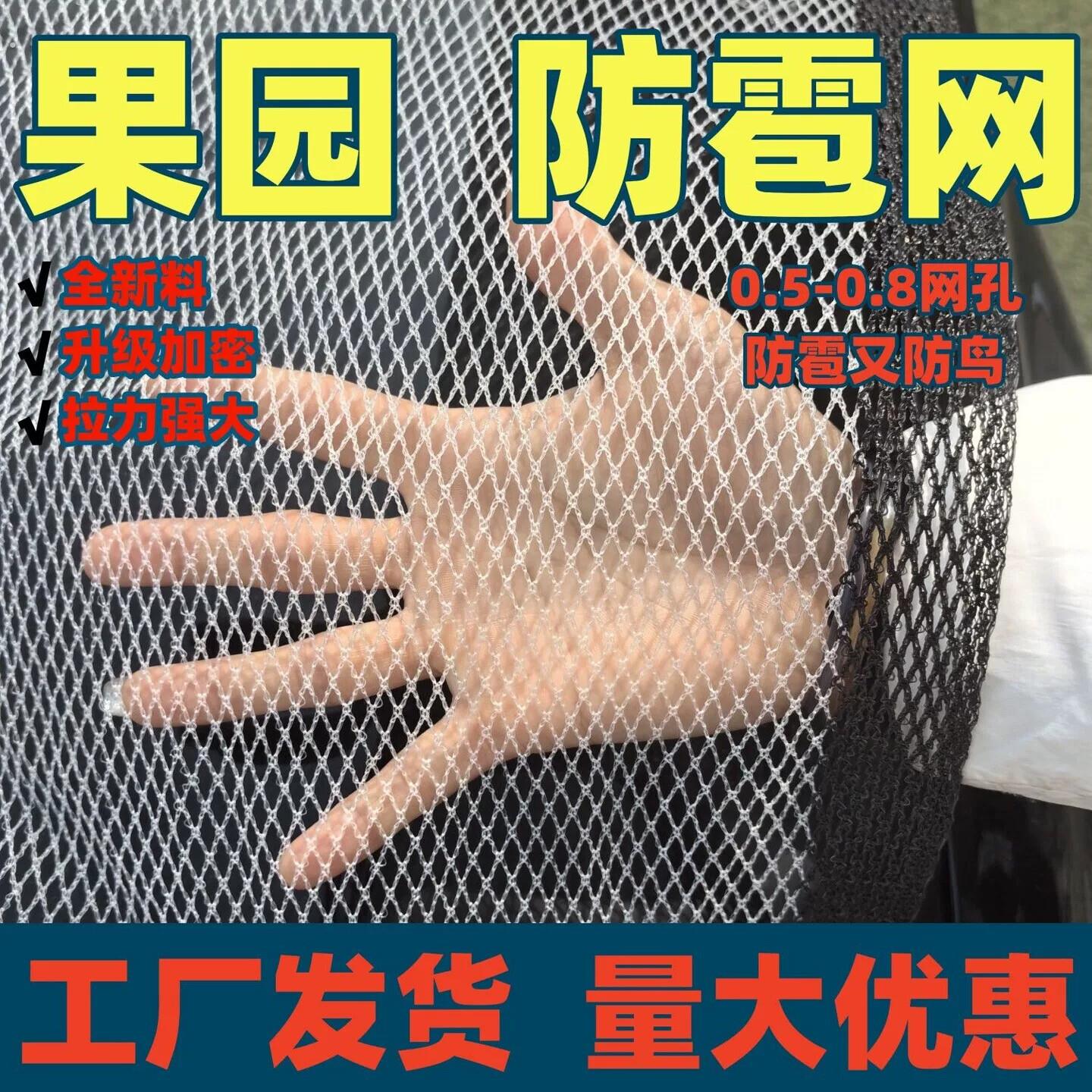 防冰雹网果树葡萄网农用防冰雹网果园防护网防鸟围栏经久耐用