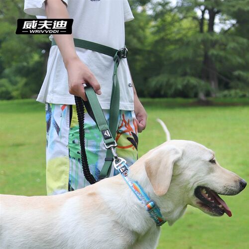 狗狗牵引绳可斜跨调节防爆冲弹力遛狗绳边牧金毛中大型犬宠物狗绳