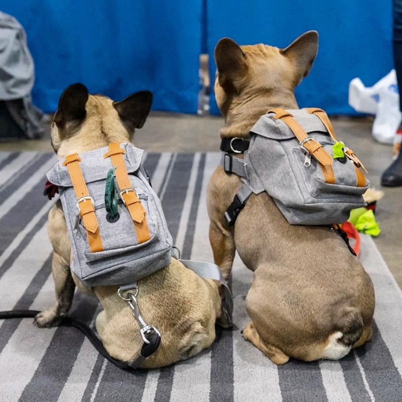法斗双肩包斗牛犬书包外出复古包宠物自背包雪纳瑞中小型犬柯基包