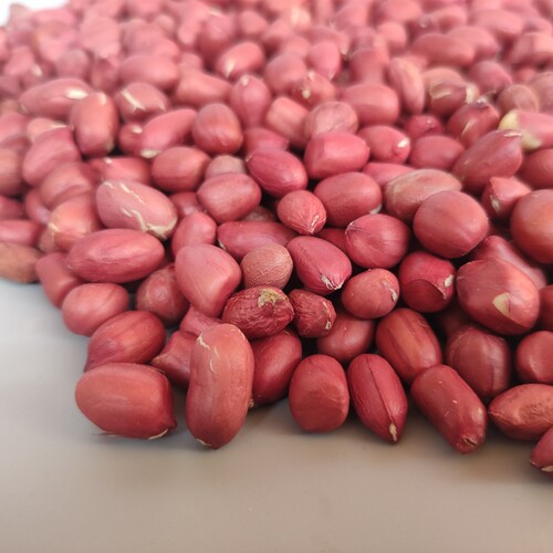 红皮花生米生2021新货鸽粮小颗粒红衣花生米鸽子用花生仁5斤包邮