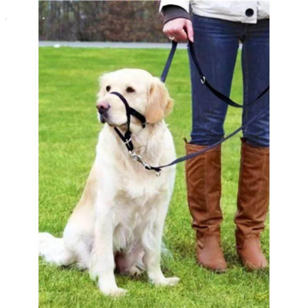 嘴套狗狗通用防咬防乱吃小中型犬马犬拉布拉多宠物防叫狗嘴牵引绳