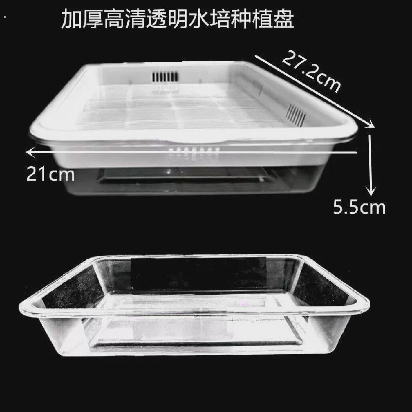 水培网格盘透明水培种植盘看得见根发芽盒子种菜盆无土阳台幼儿园