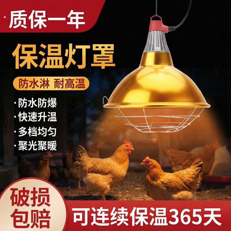 保温灯灯罩防烫小鸡育雏宠物猫咪猪用养殖取暖灯防水调节保温灯罩