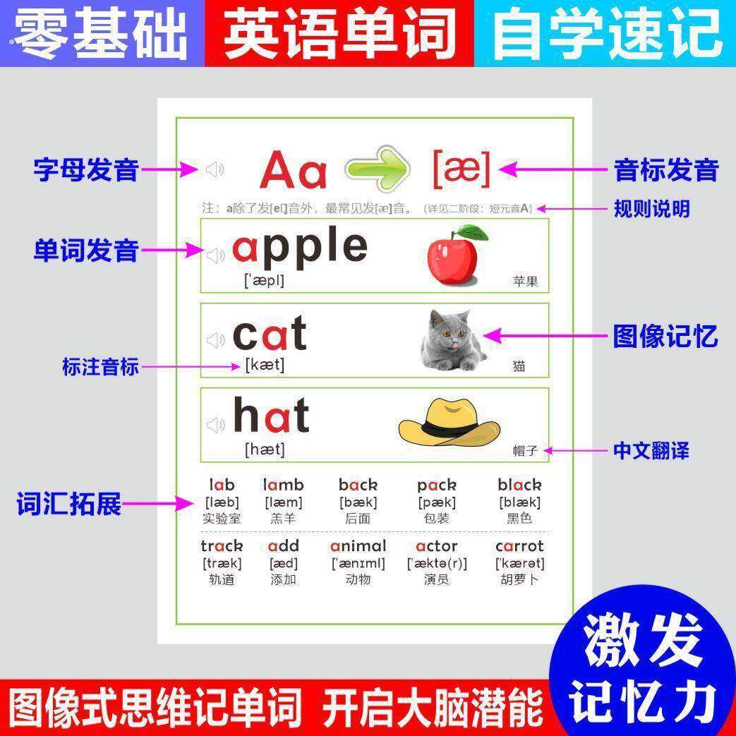 小学英语自然拼读发音规则表音标教材教具墙贴有声挂图学习神器
