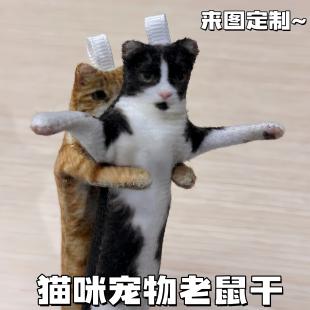猫咪宠物老鼠干定制迷你可爱抽象带骨架狗狗乳鼠干玩偶挂件钥匙扣