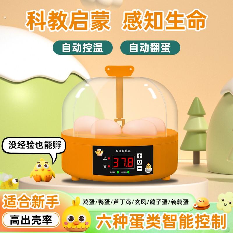 融测孵蛋器小型家用智能孵化机全自动恒温孵芦丁鸡小鸡鹦鹉孵化箱