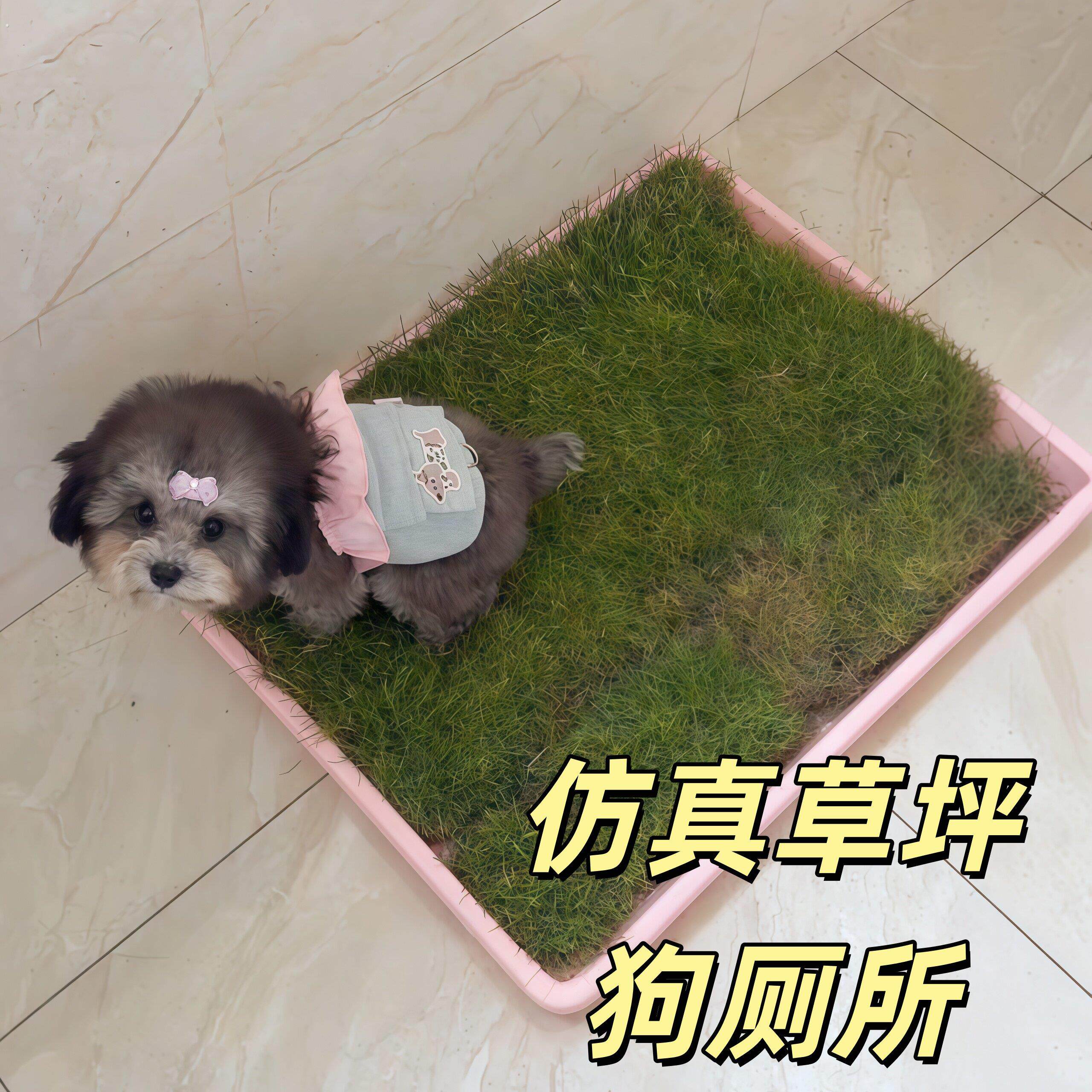 彷真草坪狗厕所小中大型犬尿尿绿色假草皮固定尿垫狗狗便盆狗砂盆