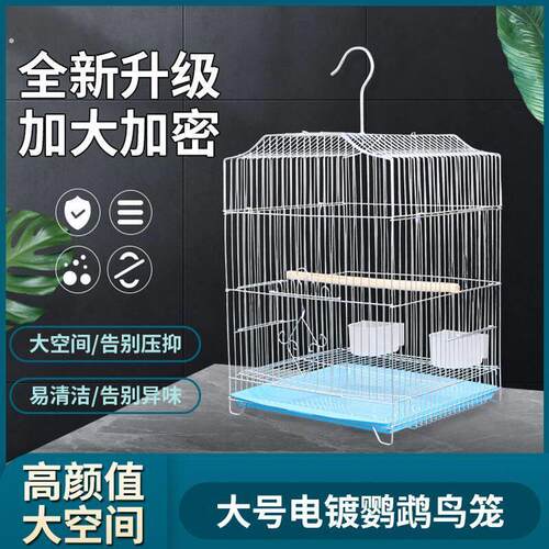 鹦鹉笼大号八哥黄雀牡丹电镀不锈钢色铁艺鸟笼子家用虎皮鹦鹉鸟笼