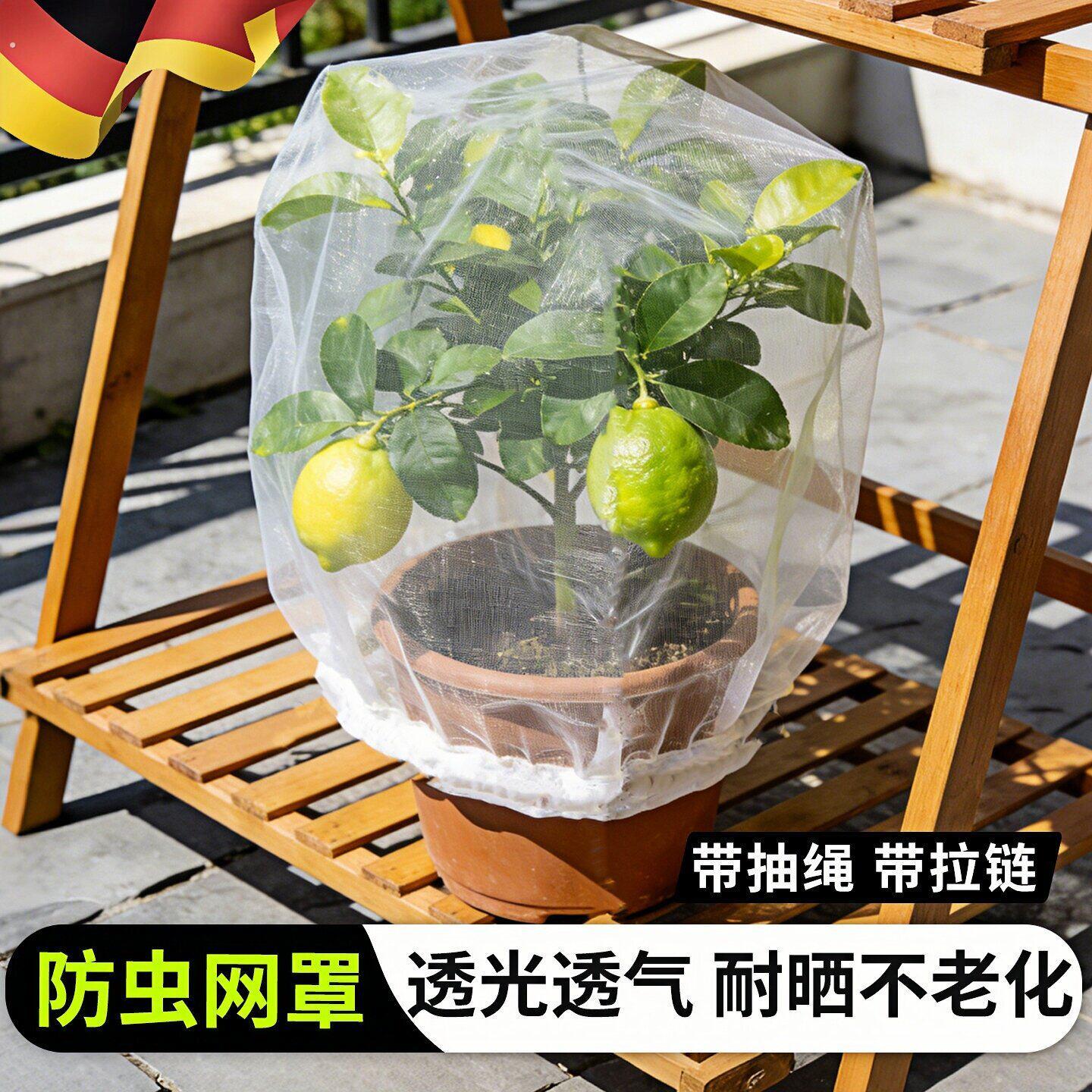 德国防鸟罩果树防虫网罩蓝莓樱桃树透明带抽绳拉炼户外园艺防护网
