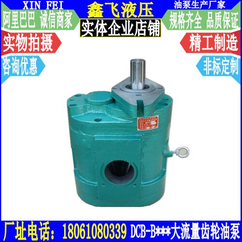 大流量齿轮油泵CB DCB-B600 XCB TXLB XTCB BM600菱形法兰安装