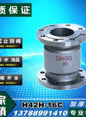 H42H-16C/25C铸钢立式消声法兰止回阀DN50 65 80 100 125 150 200