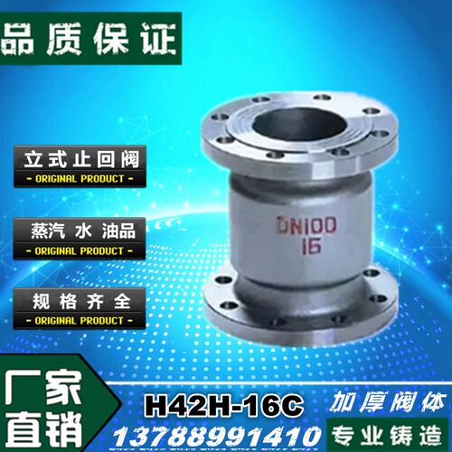 H42H-16C/25C铸钢立式消声法兰止回阀DN50 65 80 100 125 150 200