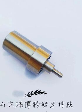 SD型 DN12SD12 喷油嘴 偶件