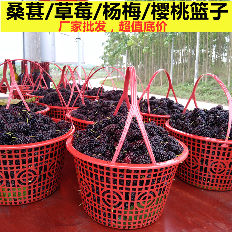 浙江产塑料水果篮 草莓圆形塑胶框杨梅框1-6斤装 水果采摘塑胶圆