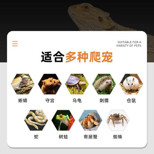 reptishow爬宠恒温箱陆龟饲养箱守宫蜥蜴温控乌龟实木定时保温箱