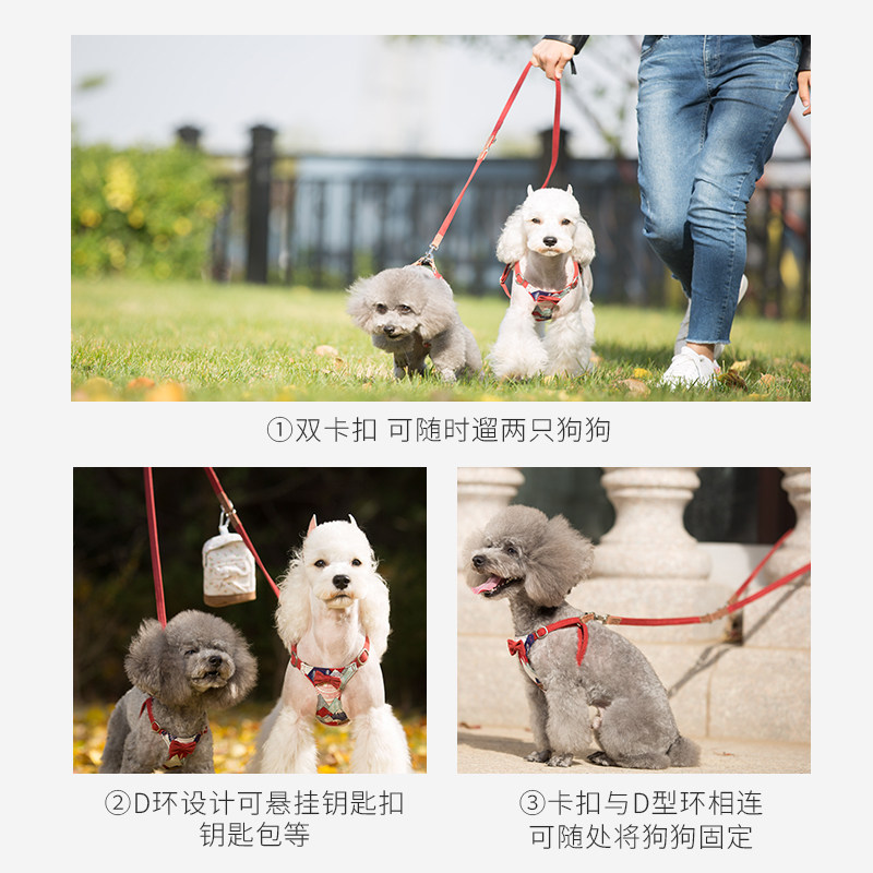 小狗狗牵引绳牵狗绳遛狗泰迪狗绳子一拖二牵绳狗背带牵引背心式猫