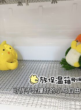 鹦鹉饮水器水壶自动喂水器外出喝水神器陶瓷防打翻专用喂食芦丁鸡