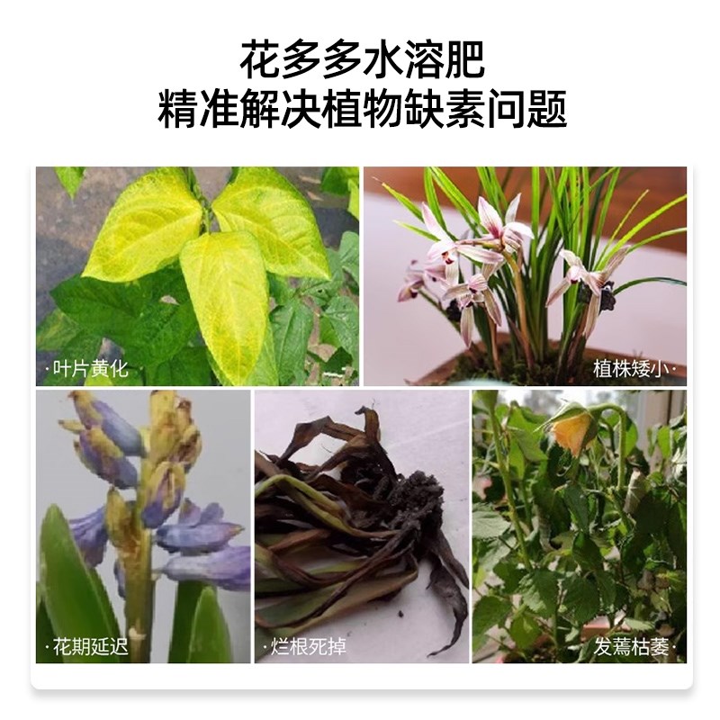 花大壮花多多1号2号水溶肥绿萝肥花肥料家用盆栽养护花缓释复合肥图片