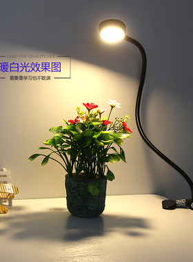 简约便携式USB插口夹子护眼台灯LED工作美容化妆学习夹灯金属耐用