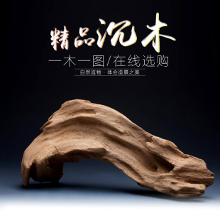 观赏鱼缸造景装饰沉木流木爬宠箱草缸水草看图选购天然紫柚枯木