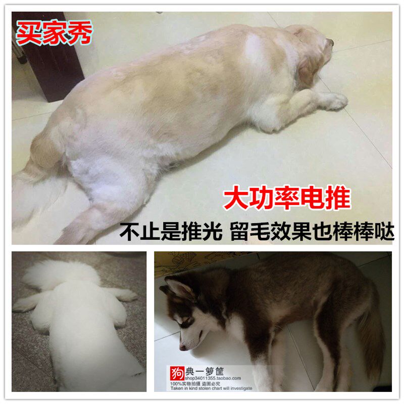 专业大型犬剃毛器特锋宠物电推剪猫咪大功率推子金毛萨摩剪毛神器
