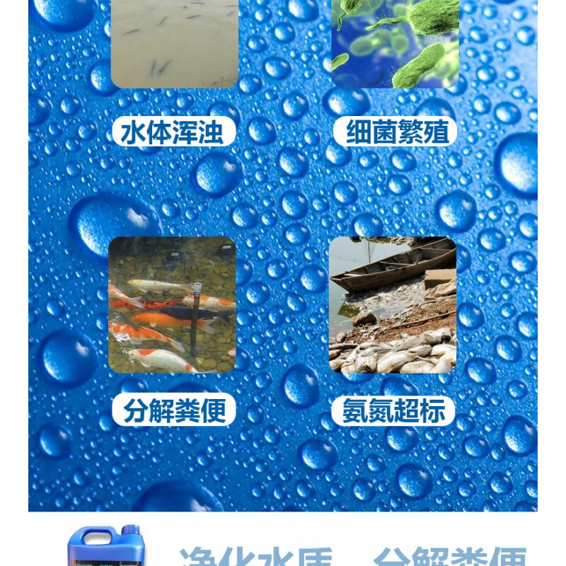 包邮硝化细菌鱼池5L缸淡水养鱼用品水质净化剂水族消鱼药稳定水剂