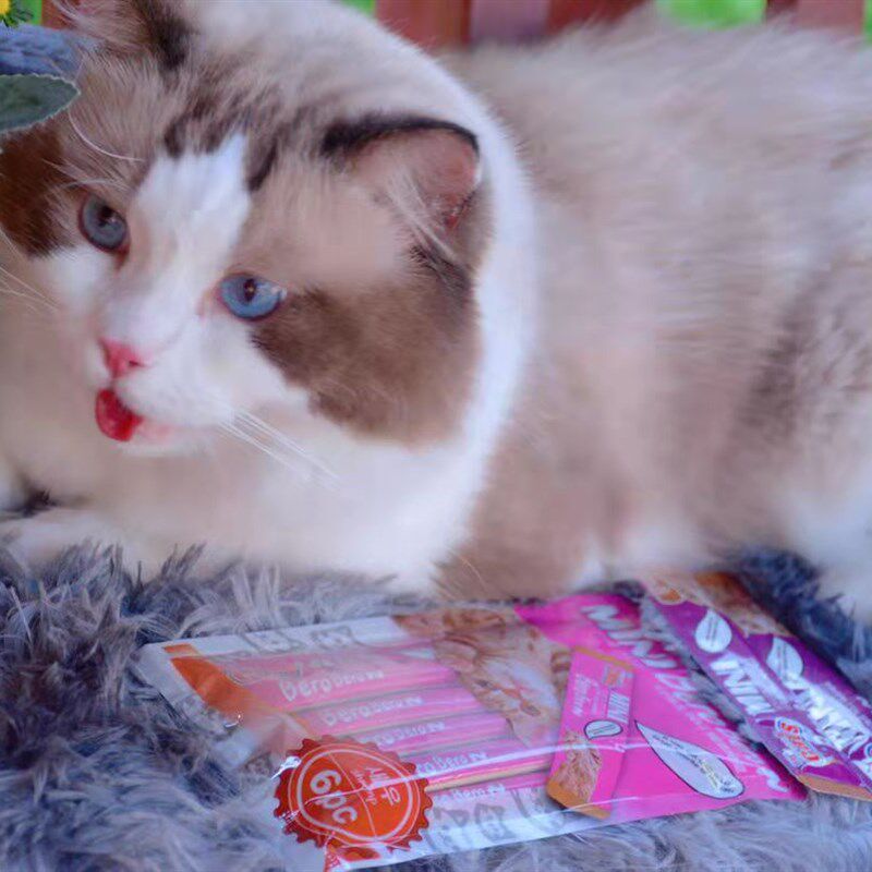 10包速发猫太郎猫条流质宠物猫零食肉泥罐头湿粮增胖肥腮营养补水