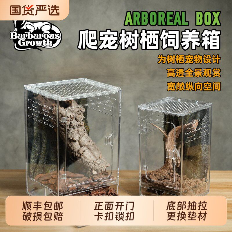 压克力树栖饲养箱生态造景全套爬宠专用缸睫角守宫老爷树蛙饲养盒