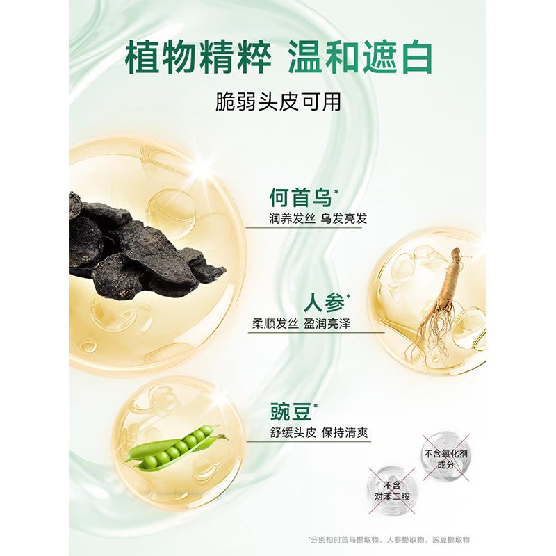 韩愢美发补色笔一次性纯植物即速头发梳刷补白发不掉色韩思黑发棒