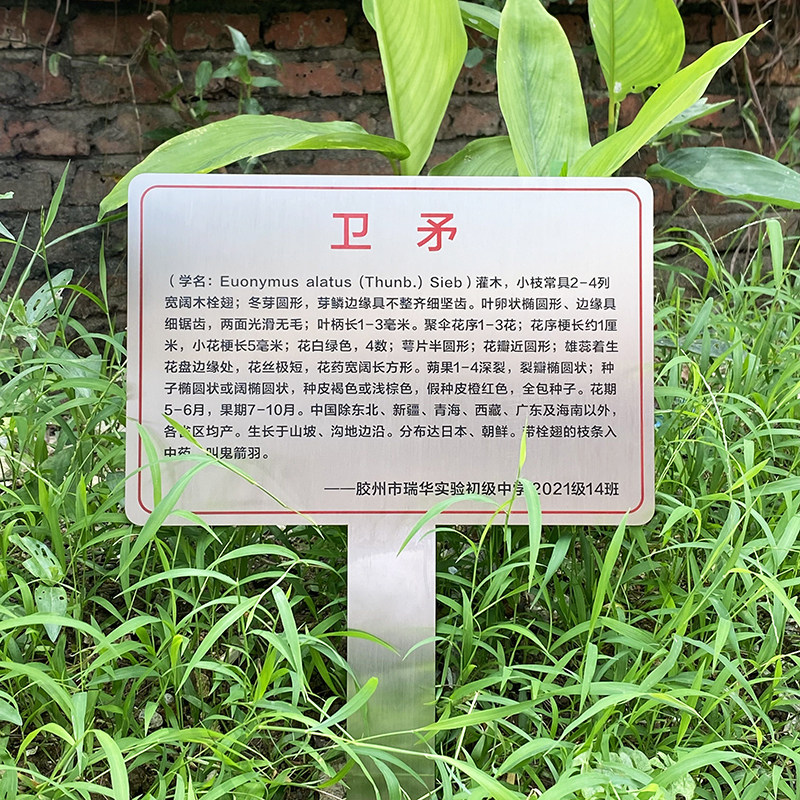 不锈钢插地牌定制花草牌植物信息介绍牌树木认养牌标识牌悬挂吊牌