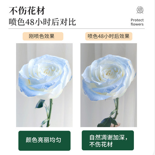 鲜花专用自喷漆吸色剂密西根碎冰蓝玫瑰花粉色花艺干花染色喷色剂