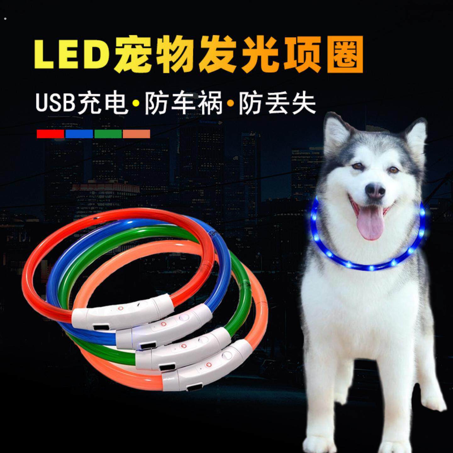 小狗发光项圈狗狗夜间遛狗夜光夜行灯大小型犬防走失带灯充电宠物