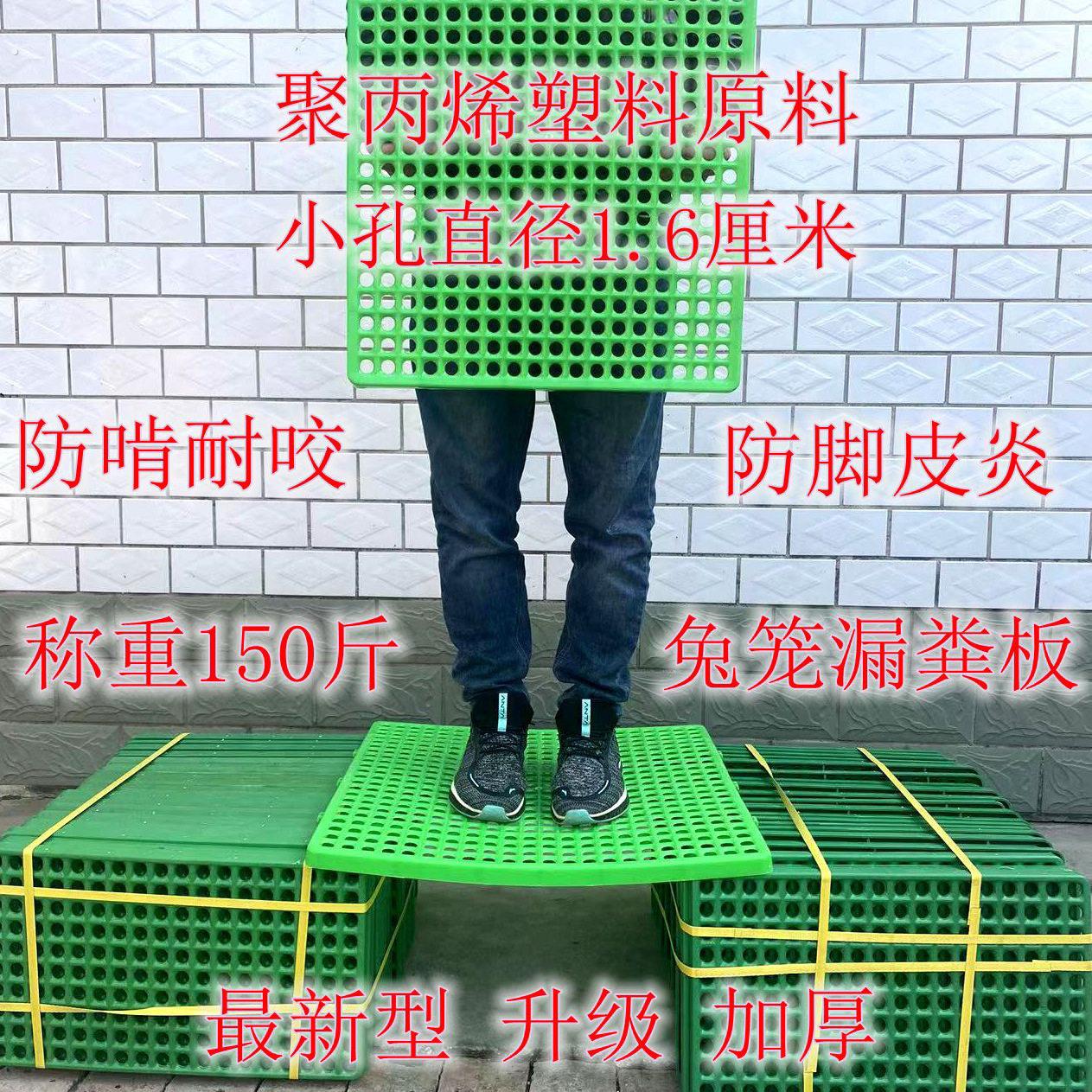 兔子垫脚网兔笼底板兔子脚垫漏粪板底板塑料垫板兔用宠物脚垫防啃