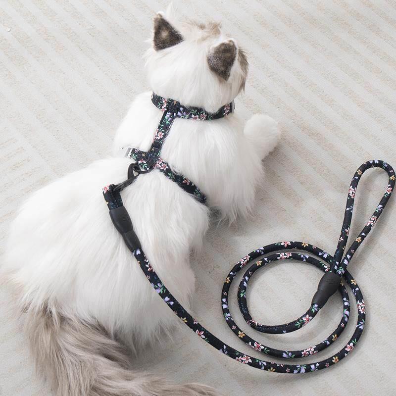 猫项圈猫绳牵引绳防挣脱不勒脖牵猫绳遛猫绳猫咪牵引绳防挣脱外出