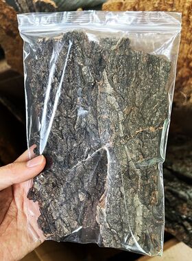 独角仙甲虫防猝死树皮垫材香槟木阔叶树皮爬虫箱生态布景饲养垫材