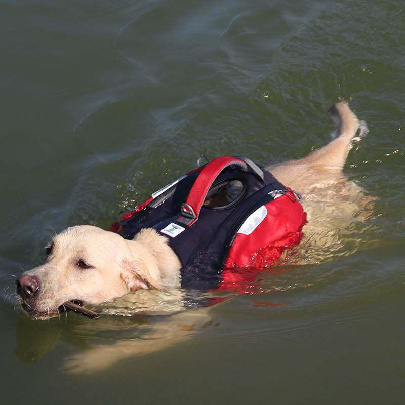 2019新款狗狗救生衣中大型犬金毛拉布拉多大浮力游泳衣户外自背包