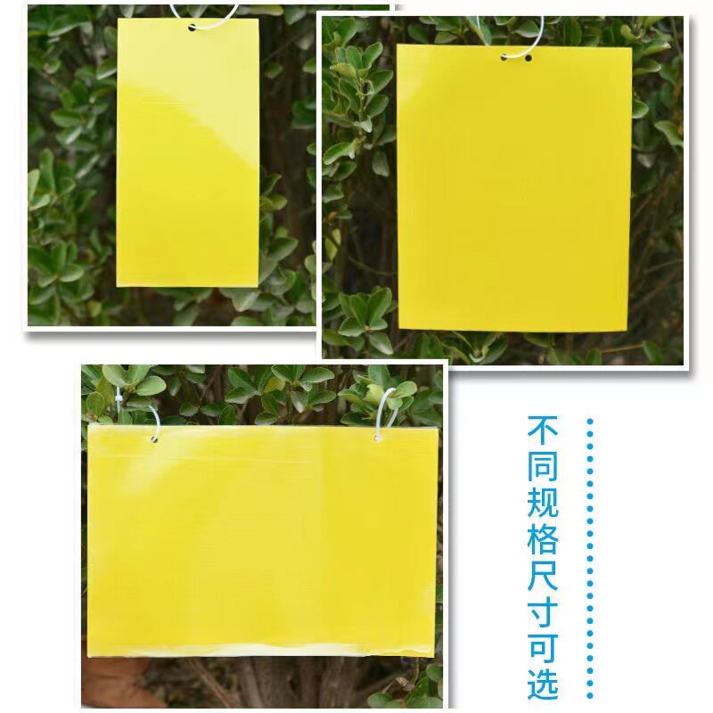 粘虫板双面黄板蓝板农用家用粘虫纸家用大棚小黑飞蓟马防水送扎丝