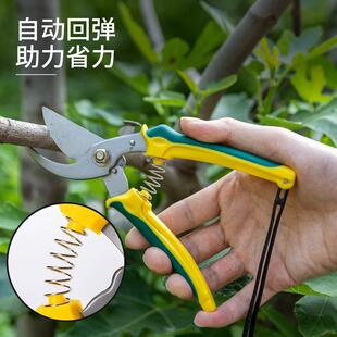 剪刀修枝剪花艺园艺强力粗枝果树园林工具摘果葡萄疏果专用神器
