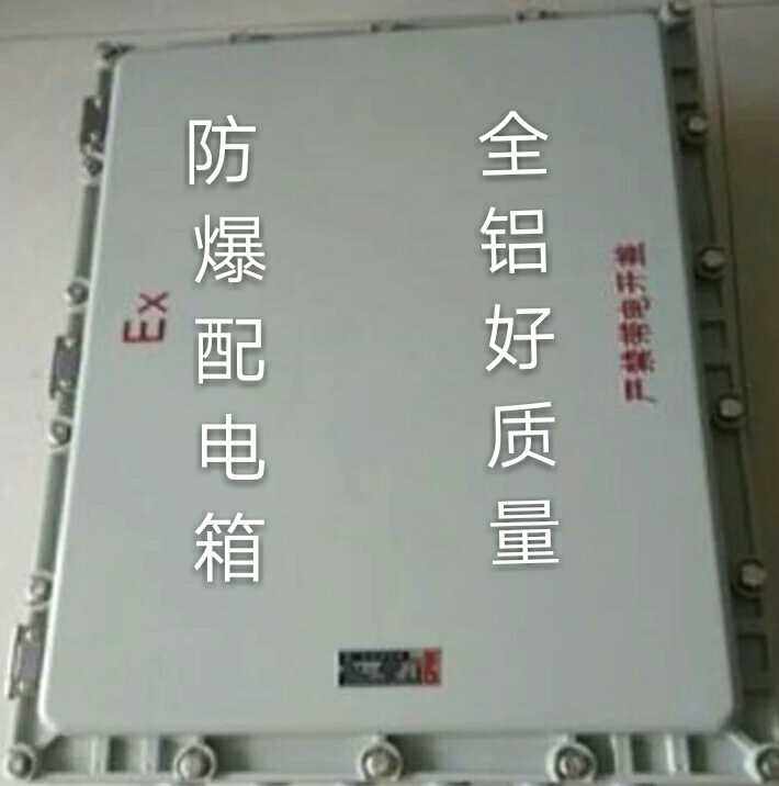 500*600*200 防爆接线箱 防爆控制箱 防爆配电箱全铝压铸晨朋电气